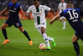 Đá gà 67 và Tottenham - Phân tích xu hướng cược, chiến lược và ảnh hưởng văn hóa